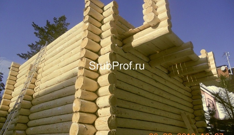 Дом из строганного бревна 7х7