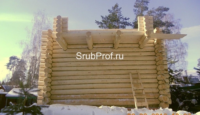 Дом из строганного бревна 7х7