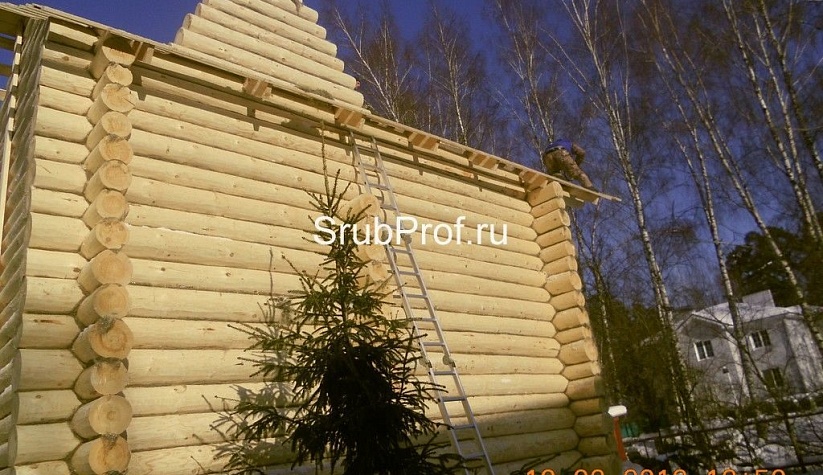 Дом из строганного бревна 7х7